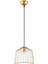 Cat Tekli Tel Sarkıt Avize Parlak Gold, Modern Dekoratif Metal Lamba CAT-12060 6