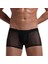 Mulvxbrf BRF02 Transparan Tül Erkek Boxer Tanga (Mulvix) 4