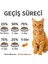 Hamsili Somonlu Yetişkin Kedi Maması 2X2KG(TOPLAM 4kg ) Avantaj Paketi 2
