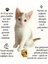 Kitten Tavuklu Yavru Kedi Maması 1 kg x 3 Adet (Toplam 3 Kg) 3 Lü Fırsat Paketi 2