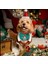 Kedi / Köpek Yılbaşı Parti Kıyafeti (2 Parça: Şapka ve Çift Taraflı Önlük) Evcil Hayvan Noel Kostümü 2