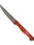 Mulvxkrg KRG02 Paslanmaz Bursa Sebze Bıçağı 12 Cm, Ahşap Gül Sap (Mulvix) 1