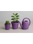 🌸 Hatesahome Cactus Pot 3’lü Premium Saksı Seti – Lüks ve Modern Dokunuş 2