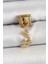Bfs 316L Çelik Sallantılı Zirkon Taşlı Ay Model Gold Renk Nomination Charm 1