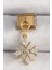 Bfs 316L Çelik Gold Renk Sallantı Zirkon Taşlı Kar Tanesi Model Nomination Charm 1