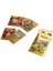 Pokemon Gold Trading Kart 10’lu Paket 1