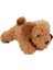 Cockapoo Peluş Köpek 25 cm 1