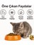 Plus Tavuklu Yavru Kedi Maması 1 kg (Yeni 1 kg Zipli Paketler) 2