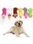 Köpek Peluş Ses Yapımı Oyuncaklar Çiğneme Dişleri Öğütme Eğitimi Oynatma Oynatma Graving Etkileşimli Mops Lint Puppy Oyuncak, F (Yurt Dışından) 2