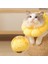 Ayçiçeği Pet Yakası Kedi Yakası Yalanma-Koşullu, Isırma Korumalı ve Çırpma Koşullu Koruyucu Yaka L (Yurt Dışından) 5