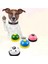 B Pet Dog Için Zelle Tos Arayıcı Pet Eğitimi Çılı Toys Kat Kiteyi Kiteyi Kite Yemek Yemi Hatırlayın Beyim (Yurt Dışından) 4