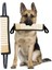 Etkileşimli Römorkör Oyuncakları Sert Interaktif Köpek Eğitimi Çekme Oyuncak Gözyaşı Dayanıklı Köpek Isırık Tug Oyuncak 2 Tutamak (Yurt Dışından) 3