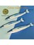 3 Paket Kedi Oyuncakları Saury Balık, Kedi Çiğneme Oyuncak Catnip Oyuncakları Kapalı Kediler Için (Yurt Dışından) 2