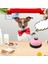 D Pet Dog Enteractive Pet Eğitim Çan Oyuncak Oyuncak Oyuncak Oyuncak Kedi Yavru Yoksu Yemek Yem Hatırlatma Besleme (Yurt Dışından) 3
