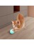 Etkileşimli Kedi Oyuncakları Otomatik Kedi Topu Kedilerin Kendilerini Eğlendirmek ve Can Sıkıntısını Rahatlatmak Için Büyülü Bir Araç (Yurt Dışından) 2