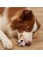 B Pet Chew Toy Puppy Molar Hayvan Şekli Isırık Dayanıklı Oyuncak Köpek Eğitimi Peluş Oyuncak, Küçük Orta Büyük Köpek Için Malzemeler (Yurt Dışından) 5