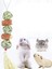 6pcs Doğal Saman Topu Asılı Ipi, Can Sıkıntısı Hamster Aksesuarlarını Rahatlatmak Için Evcil Tavşan Azı Dişleri Oyuncaklar Evcil Hayvan Ürünleri (Yurt Dışından) 5