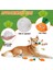 Köpek Squeaky Havuç Köpek Oyuncakları Peluş Dolgulu Yumuşak Köpek Çiğneme Oyuncakları Etkileşimli Evcil Hayvan Malzemeleri Küçük Orta Köpek Diş Bakımı (Yurt Dışından) 2