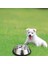 2 Adet Paslanmaz Çelik Köpek Kaseleri, Köpek Besleme Kaseleri, Kauçuk Tabanlı Köpek Plakası Kaseleri (Xl) (Yurt Dışından) 5