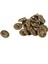 20PCS Çinko Alaşım Düğmeleri At Başı Oyulmuş Yuvarlak Bronz Tonu 15MM (5/8 Inç) Çap. (Yurt Dışından) 2