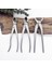Set Bonsai Modelleme Araçları Yuvarlak Ağızlı Makas + Eğimli Makas (Yurt Dışından) 3