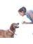Köpek Oyuncak Topu Kendi Kendine Eğlence Eseri Evcil Hayvan Border Collie Golden Retriever Corgi Çiğnemeye Dayanıklı Top Eğitim Diş Çıkarma Tenis Topu Kauçuk (Yurt Dışından) 1