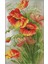 Dıy El Yapımı Iğne Işi Sayılmış Çapraz Dikiş Seti Nakış Kiti 14CT Haşhaş Çiçekleri Desen Çapraz Dikiş 33 * 50CM Ev Dekorasyonu (Yurt Dışından) 1