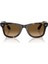 Rb 4340 710/M2 50 Ray-Ban Wayfarer Ease Polarize Güneş Gözlüğü 5