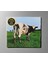 Pink Floyd - Atom Heart Mother CD ( Yeni- Ambalajında, Plak Değildir) 1
