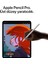 iPad Pro M5 Wifi 1tb 13" Nano Texture Cam - Gümüş MDYR4TU/A 6