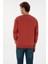 Erkek Gül Kurusu Sweatshirt 50313757-VR026 5