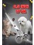 3 Parça Kavisli Kedi Köpek Çantalı Pet Kuaför Tıraş Seti Titanium Grey 4