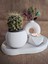 El Yapımı Dekoratif Beton 4'lü Set | Tepsi Donut Vazo Saksı Mumluk | Modern Minimalist Ev Ofis Aksesuarı 3