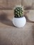El Yapımı Dekoratif Beton 4'lü Set | Tepsi Donut Vazo Saksı Mumluk | Modern Minimalist Ev Ofis Aksesuarı 7