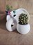 El Yapımı Dekoratif Beton 4'lü Set | Tepsi Donut Vazo Saksı Mumluk | Modern Minimalist Ev Ofis Aksesuarı 8
