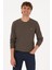Erkek Vizon Sweatshirt 50316304-VR052 1