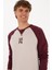 Erkek Plum Sweatshirt 50315420-VR177 2