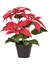 Yapay Bitki, Kırmızı, 12 Cm, Atatürk Çiçeği, Iç-Dış Mekan 1