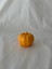 Pumpkin Candle Vanilya Kokulu 140 Gram Doğal Soya Mumu - El Yapımı 2