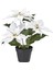 Yapay Bitki, Beyaz, 12 Cm, Atatürk Çiçeği 1