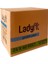 Lady Fit Günlük Ped No: 1 Normal 40 Lı x 24 Adet 2