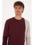 Erkek Plum Sweatshirt 50316316-VR177 2