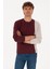Erkek Plum Sweatshirt 50316316-VR177 3