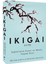 Ikigai: Japonların Uzun ve Mutlu Yaşam Sırrı - Hector Garcia | Vitrindeki Kitaplar 2