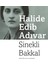 Sinekli Bakkal: Selim Ileri'nin Sonsözüyle - Halide Edib Adıvar | Vitrindeki Kitaplar 1