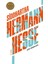 Siddhartha - Hermann Hesse | Vitrindeki Kitaplar 1