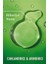 Rosemary Mint Arındırıcı Şampuan Ferahlatıcı Etkiyle 385 ml Tüm Saç Tipleri İçin 8