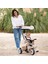 7600741403 Baby Balade Tricycle Beige 5