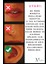 Yıldızlı Magnet Mıknatıslı Fake Küpe Piercing, Deliksiz, Kararmaz, Unisex Takı Aksesuar 3