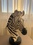 Dekoratif Zebra Figürü Heykel – Siyah Beyaz Modern Masa Üstü Obje ve Hediyelik Ev Ofis Aksesuarı 1
